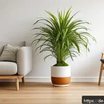 Home 23 실내 식물 관리로 공기 질 개선하기 - A bright and cozy modern living room in a German apartment featuring a variety of healthy indoor pla...